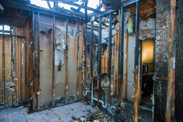 Professional Fire Damage Assessment technician working in Sisco Heights, WA